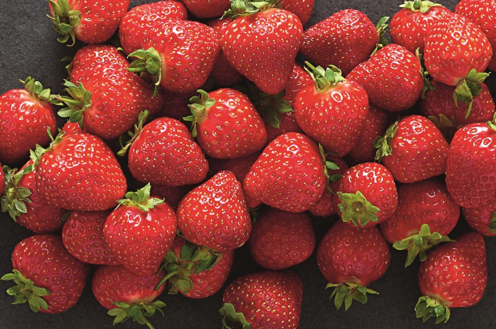 FIRST SCOTTISH STRAWBERRIES OF THE SEASON TO HIT ALDI SHELVES THANKS TO