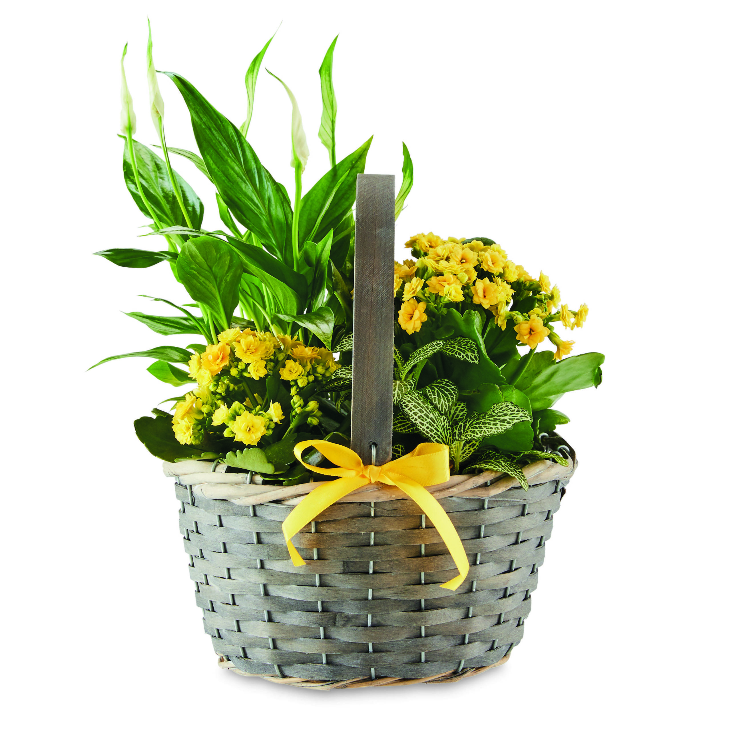 Easter Gift Basket