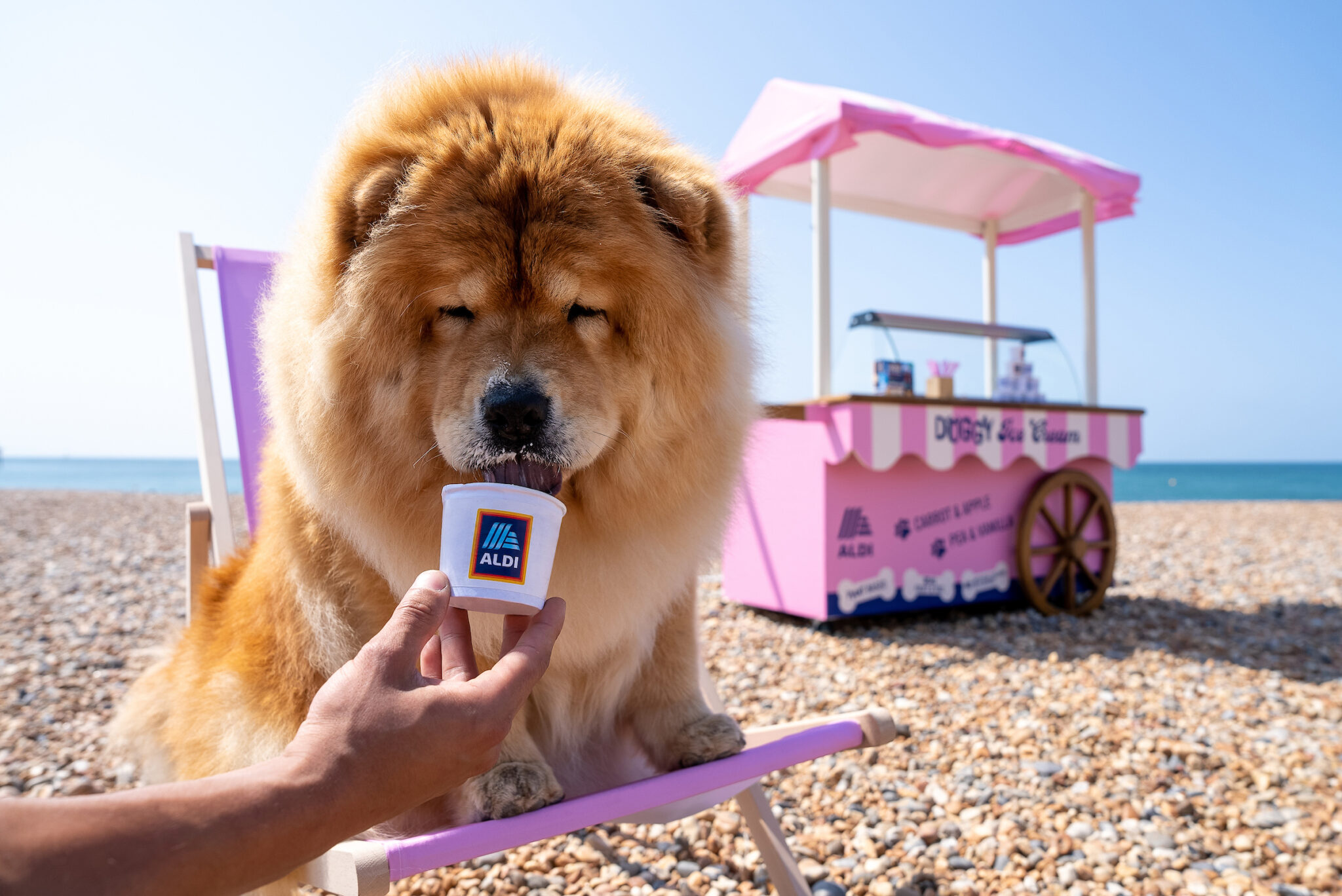 BONE APPÉTIT! ALDI’S SELLOUT DOG ICE CREAM IS BACK FOR JUST £2.99