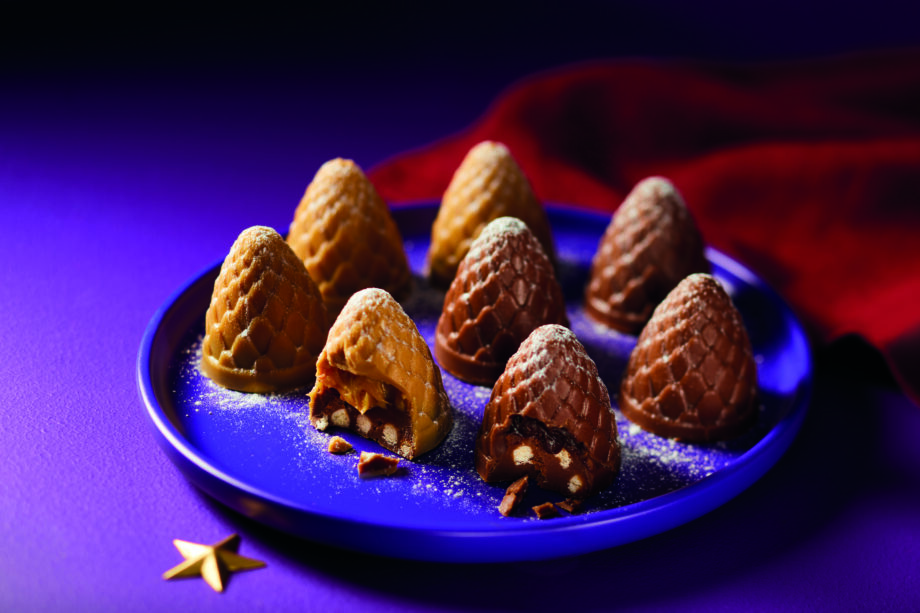 Aldi's pinecone-shaped chocolates filled with ganache and biscuit pieces