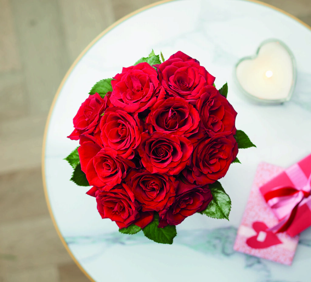 ALDI SELLING CHEAPEST DOZEN RED ROSES THIS VALENTINE’S DAY ALDI UK