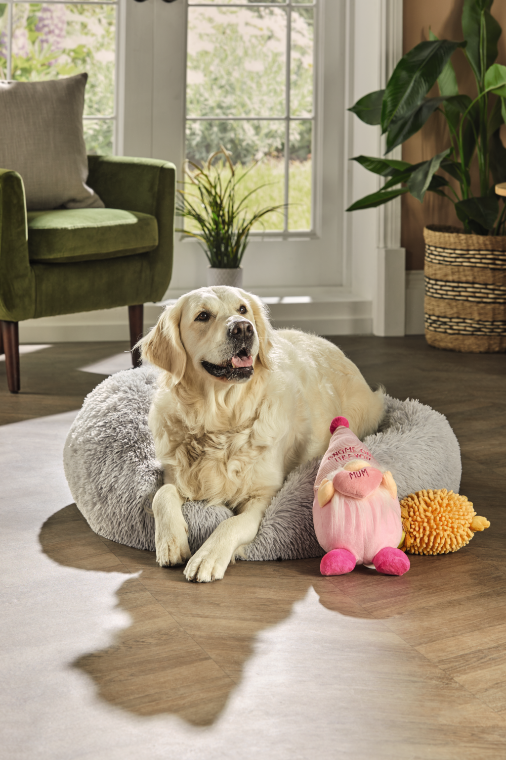 ALDI’S PET EVENT RETURNS, INCLUDING BARGAIN PET BEDS, GROOMING MITTS