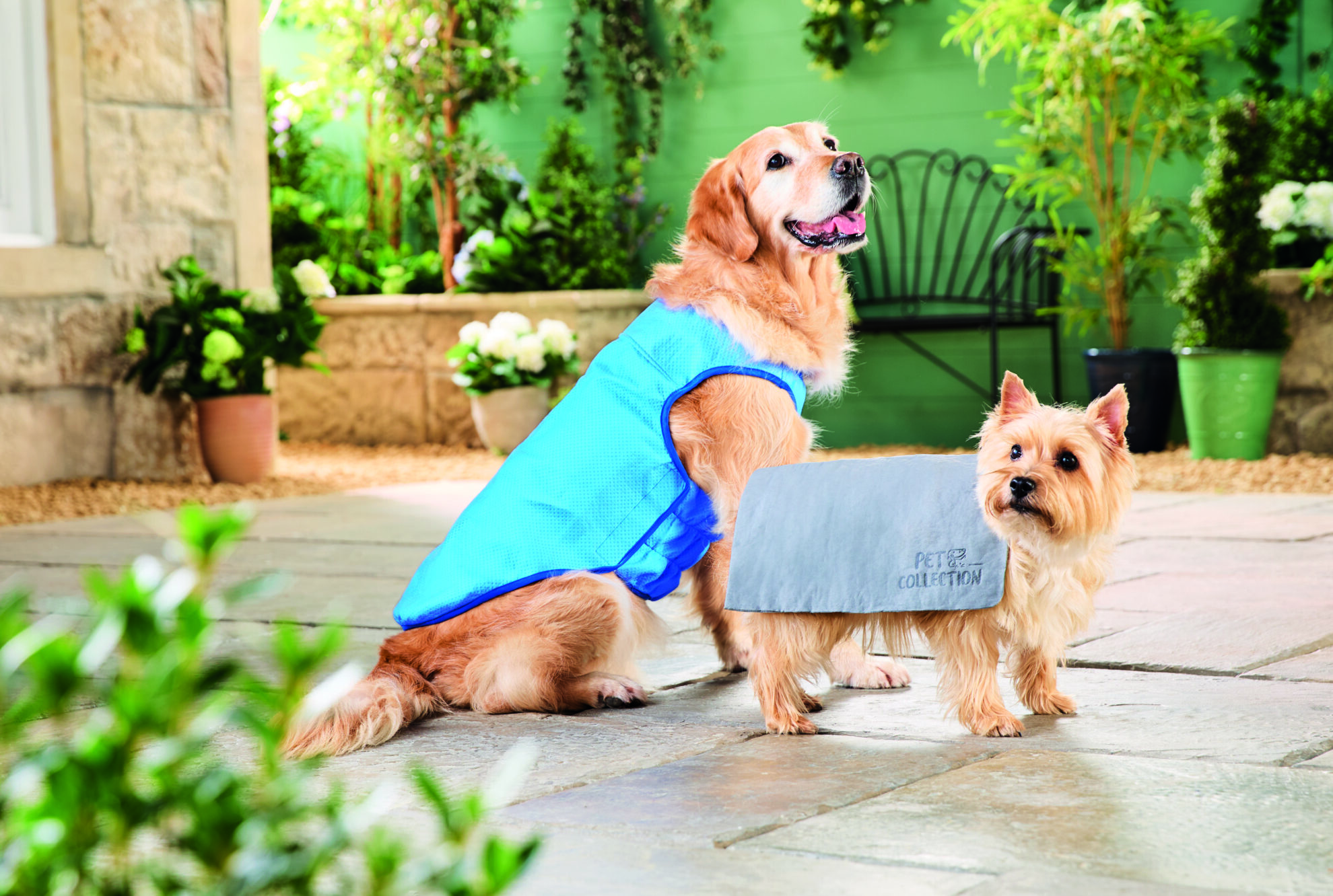 ALDI’S POPULAR PET COOLING RANGE RETURNS WITH NEW MUSTHAVES FOR HOT