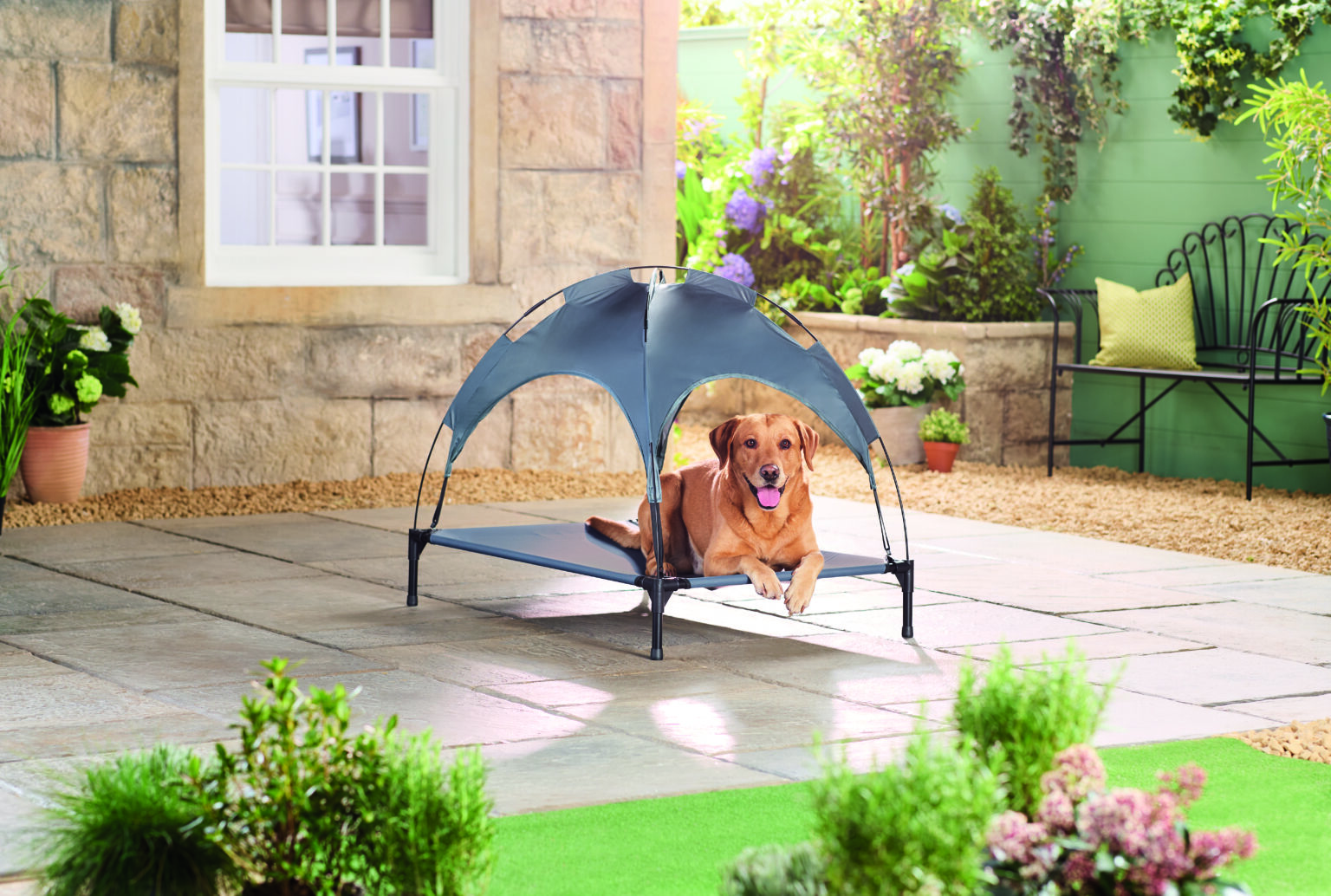 ALDI’S POPULAR PET COOLING RANGE RETURNS WITH NEW MUSTHAVES FOR HOT